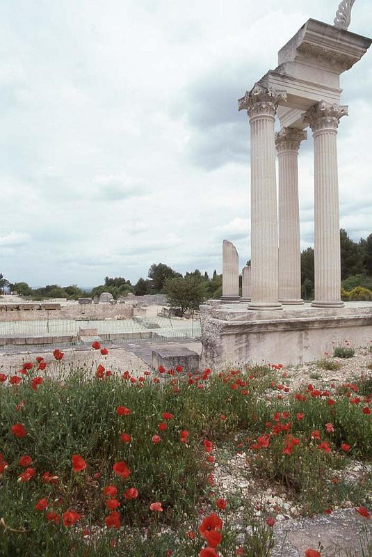 France 97 Glanum Poppies.jpg